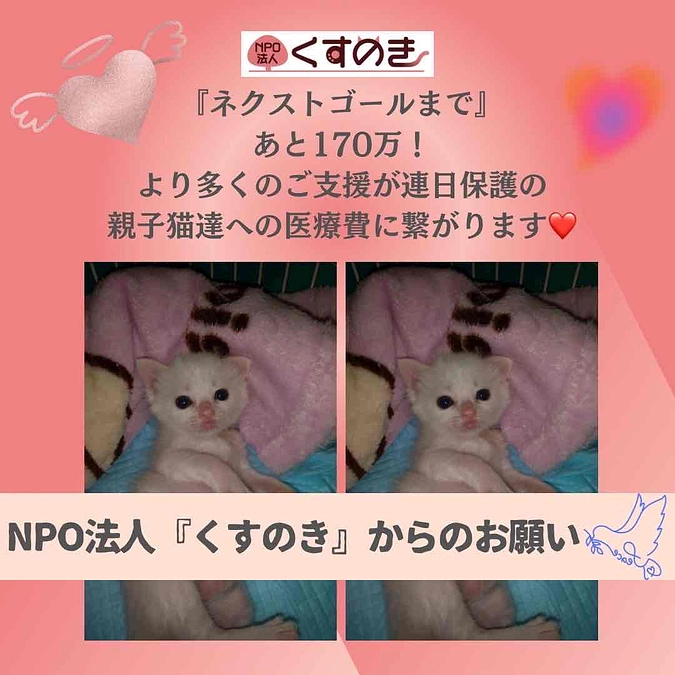 カウントダウン【残り4日】ハッシュタグ企画もぜひご覧ください！