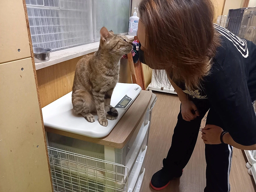 改めて感じた事。