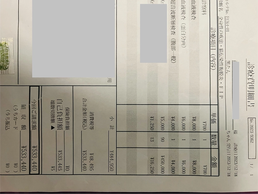 2024年1月15日までかかった治療費