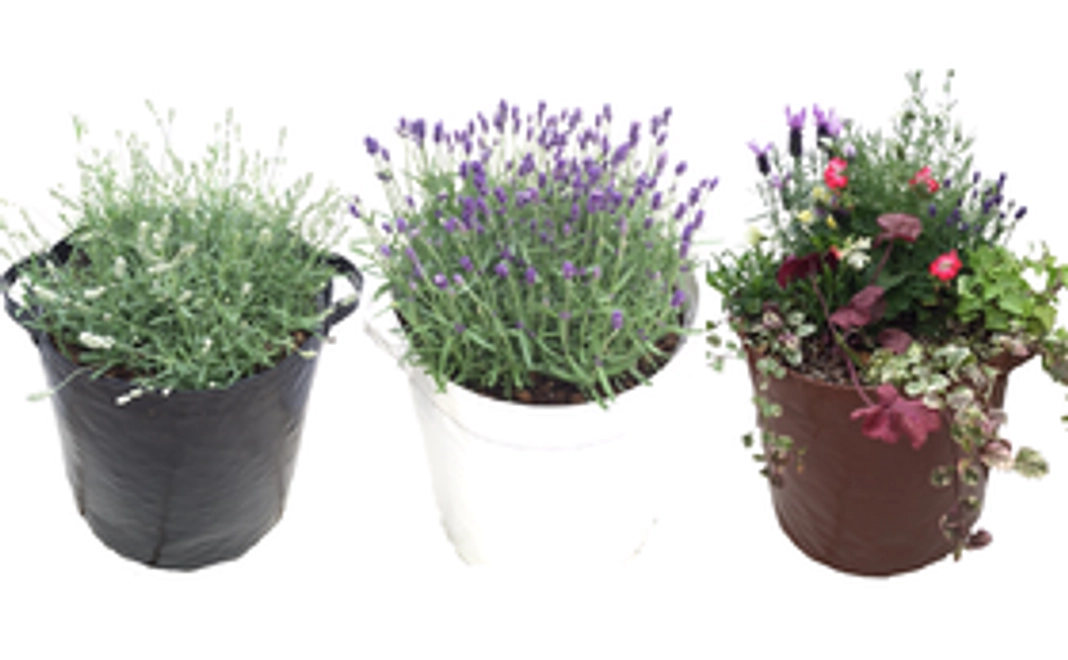 【10％OFF】プランターとして使える土のう「Green Shutter（グリーンシャッター）」