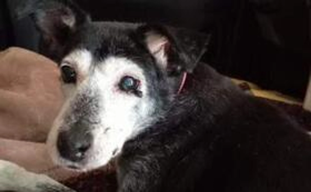 お弁当のおすそわけ〜命を支える第一歩〜