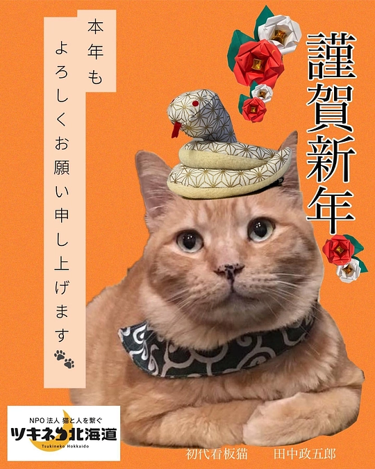 あけましておめでとうございます