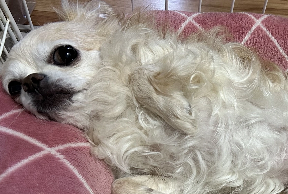 はじめまして。