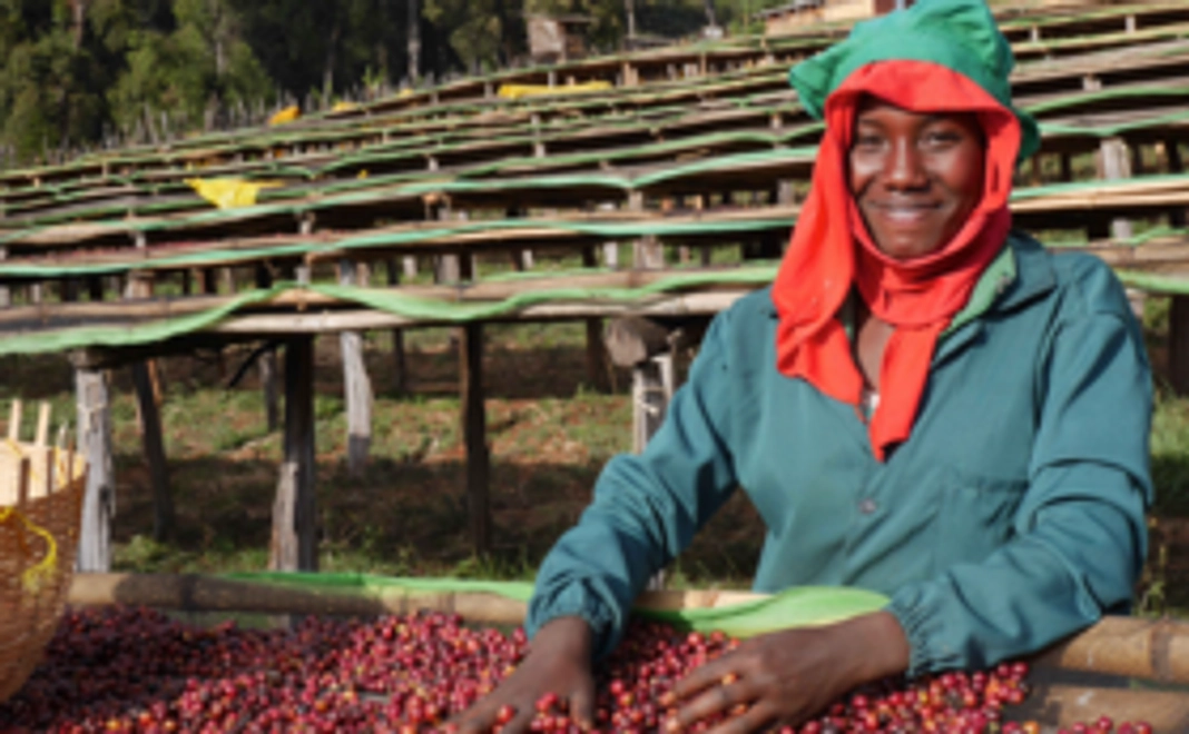 【飲んで応援！】自家焙煎コーヒーお得チケット