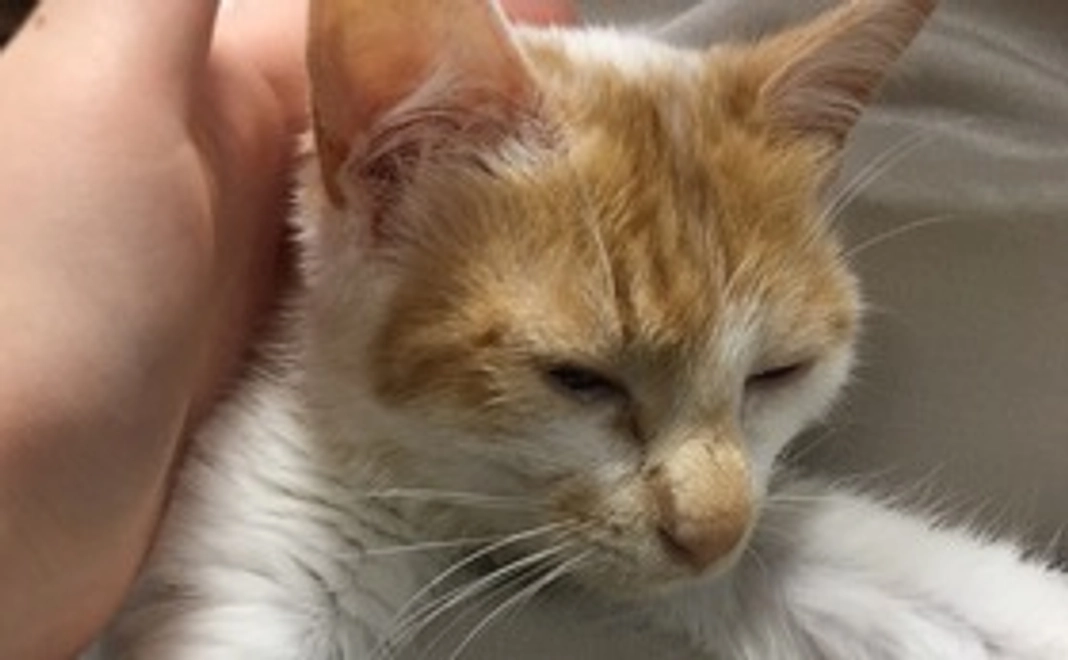 ご支援1【リターン不要】