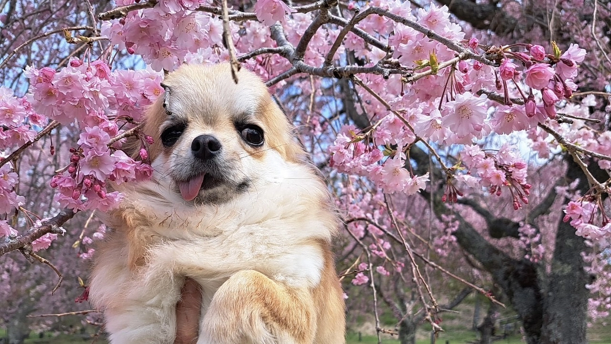 あれから4ヶ月.....