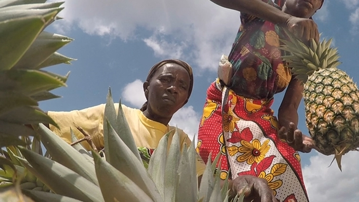 ケニア農村部の若者に生きる力を！果物加工技術を彼らの手に！