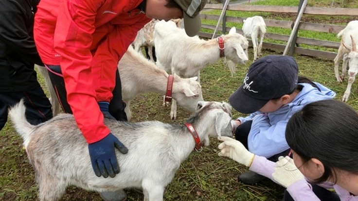 長野県のフリースクール・みんなの学校に中等部を創設したい!