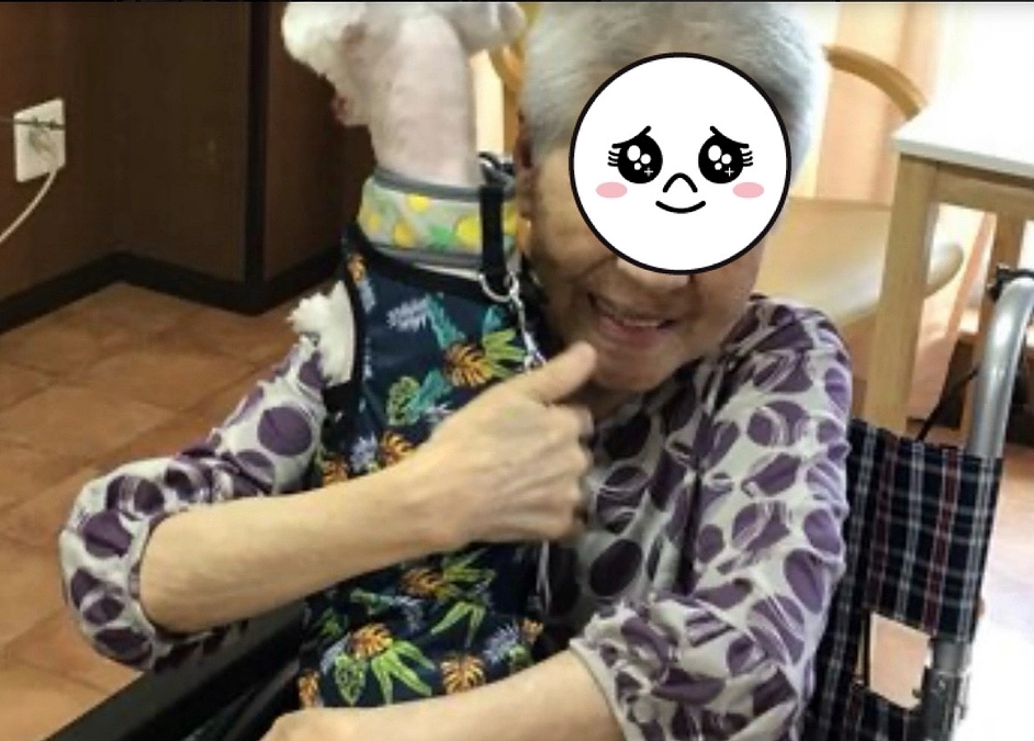 老犬ホーム×老人ホーム