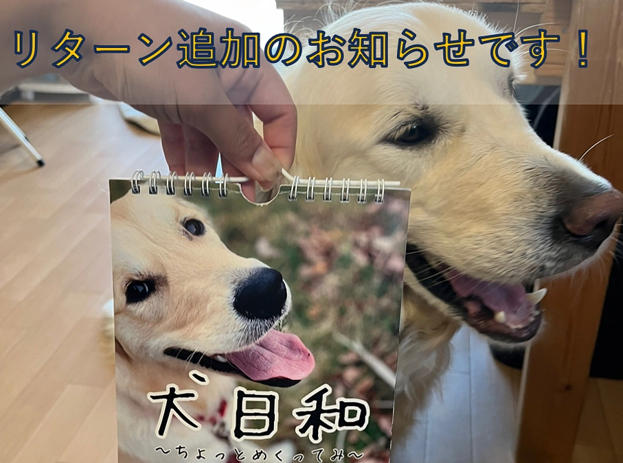 【追加リターンのお知らせ】日めくりカレンダー（12,000円コース）