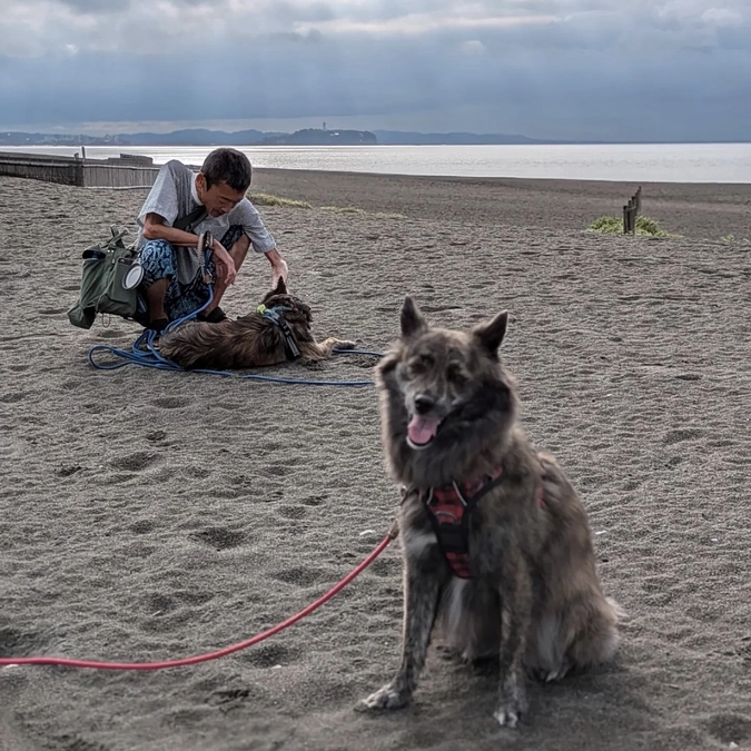 帆夢・天陽の里親様 平野様ご夫妻からの応援メッセージ
