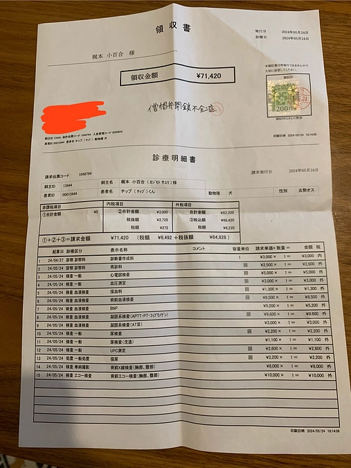 術前検査が終わりました