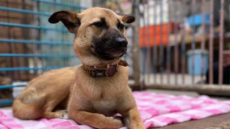 最後の砦をこれからも継続するために｜まあくんハウス第二弾