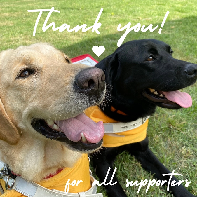 ✨✨プロジェクト終了目前！！！✨✨～協会スタッフからのコメント～