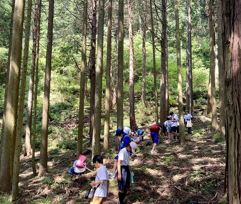 「秦野っ子×子どもヤマビル研究会交流会」実施しました！