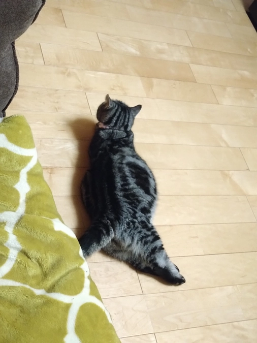 腹水について情報をお持ちの方、教えてください！