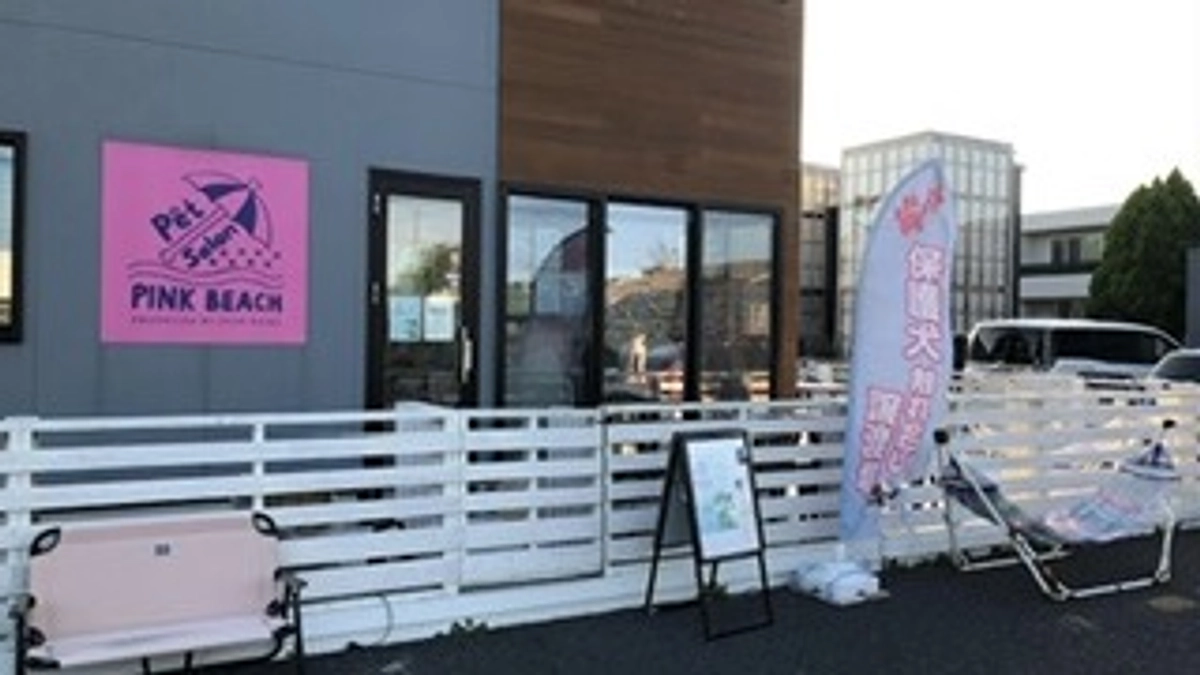 ペットサロンピンクビーチの紹介です🏝️