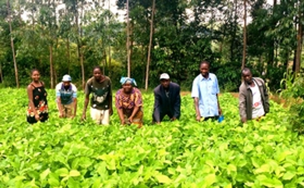 【農家さんの元気な様子を写真付きメールでお届け！】
