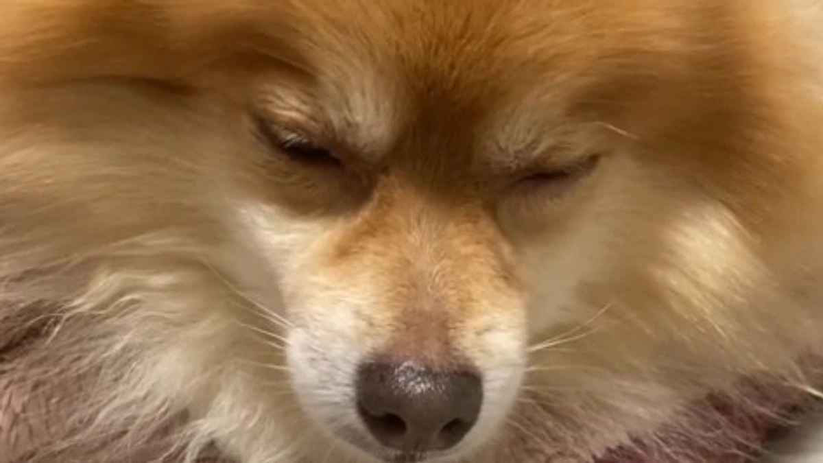 残り２日になりました。