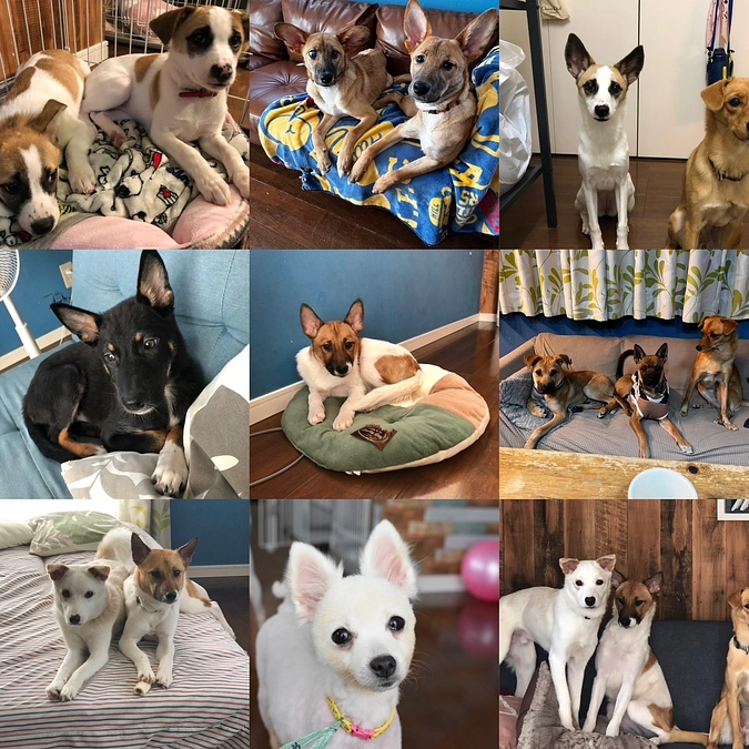 【公開終了まで｜残り5日】ここからが本番。ネクストゴール達成に向けて