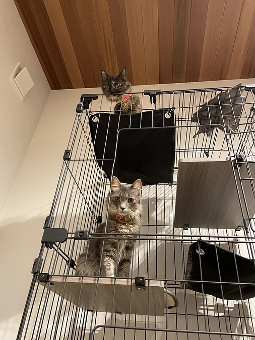 経過観察1週間経過