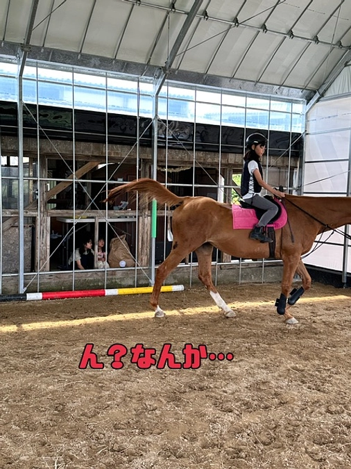 【終了まで残り8日!!】屋根の効果○○…