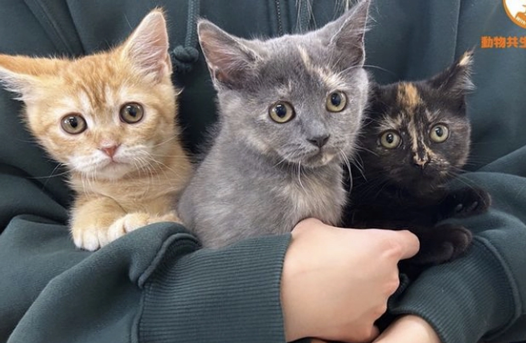 こんなに大きくなりました！