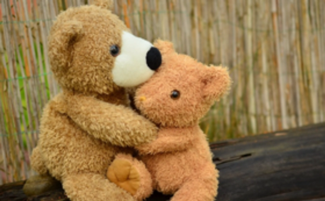 【毛並みフワフワ！】今回開発したぬいぐるみ専用ブラシをお届けします！