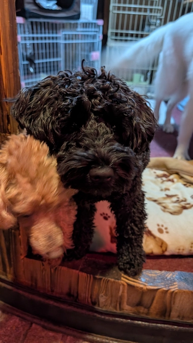 達成のご報告！