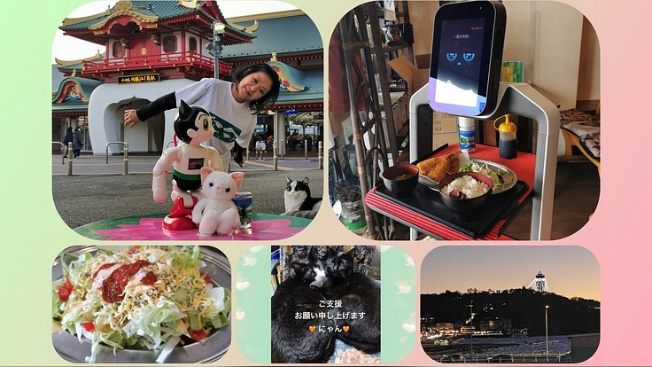江の島にロボットと触れ合える、飲食+αの空間を創りたいにゃん♪