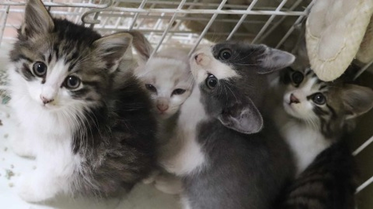 残り2時間となりました！