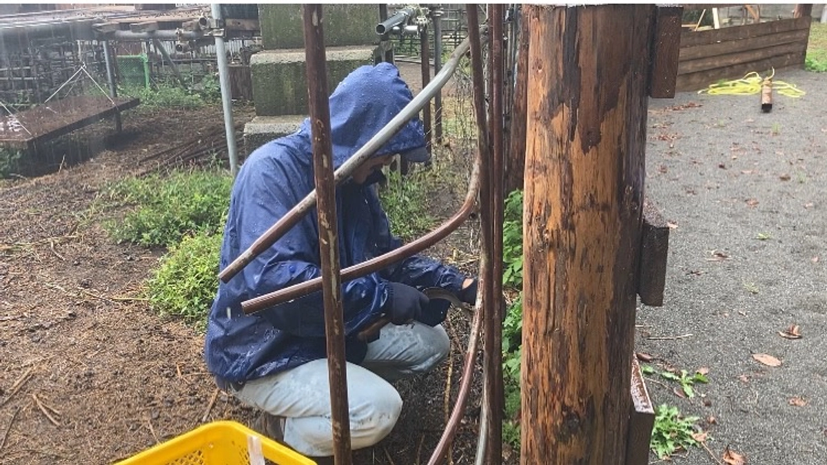 ヤギ小屋の解体を始めました。