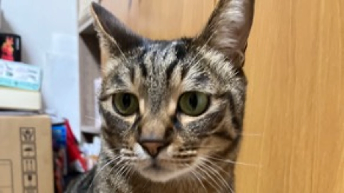 【今日のなっちゃん】5月18日