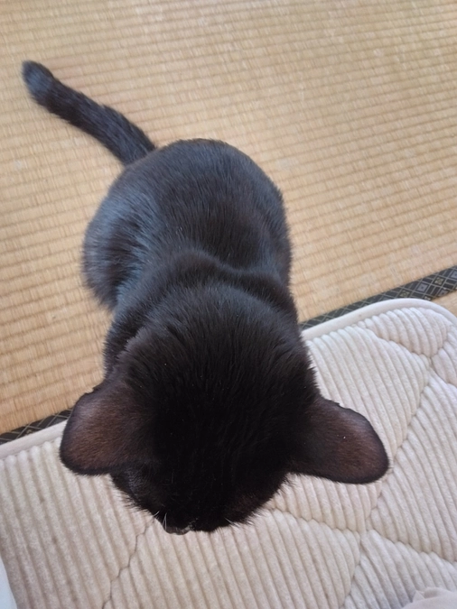 1/24はなちゃんの様子