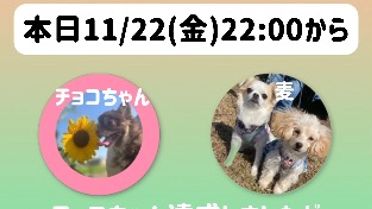 本日11/22(金)22:00インスタコラボライブ🌟