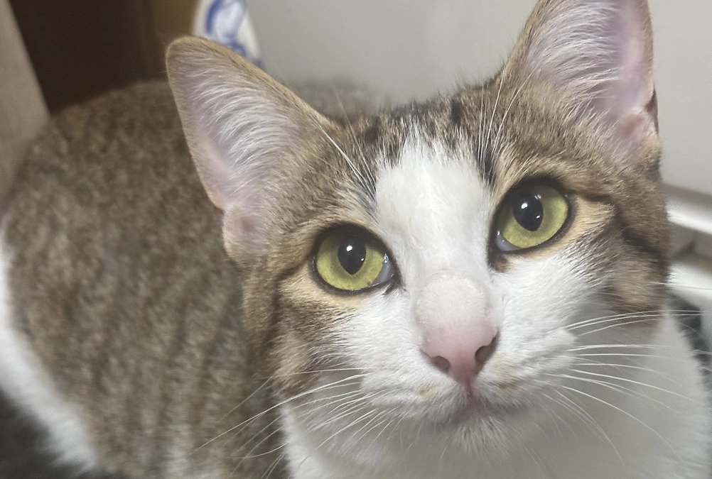 投薬84日目のご報告