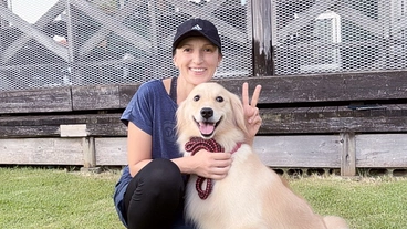 	犬も人も笑顔になれるスクールを作りたい のトップ画像