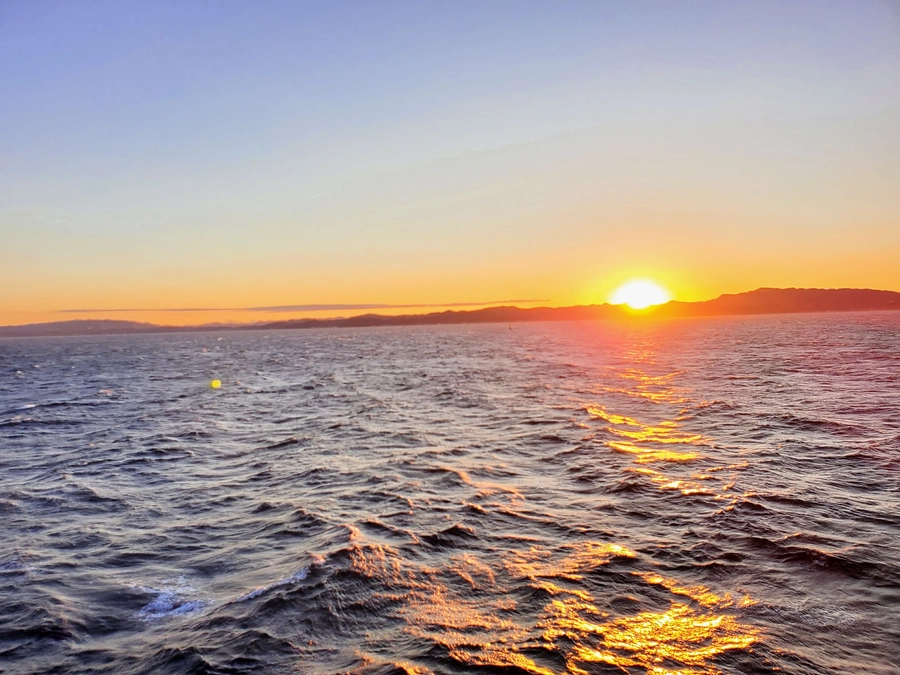 メンバーブログリレー17.