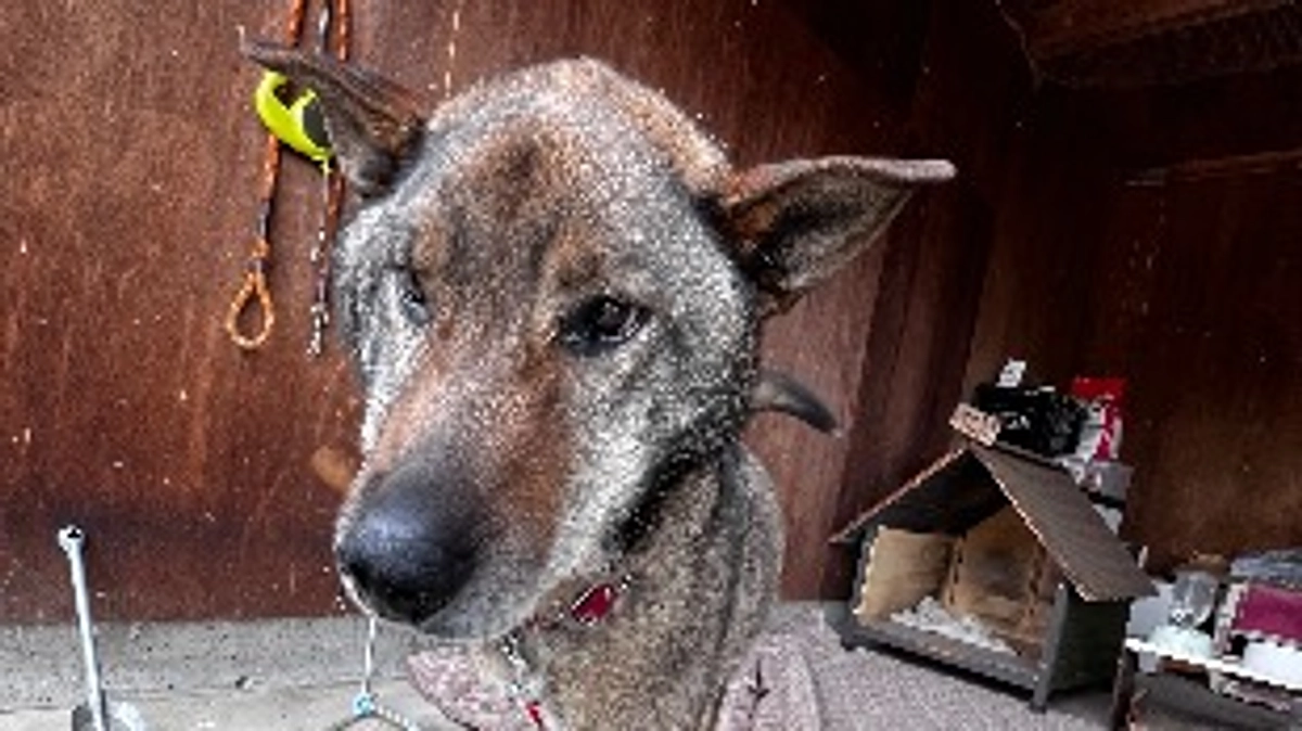 肺に転移が見つかりました