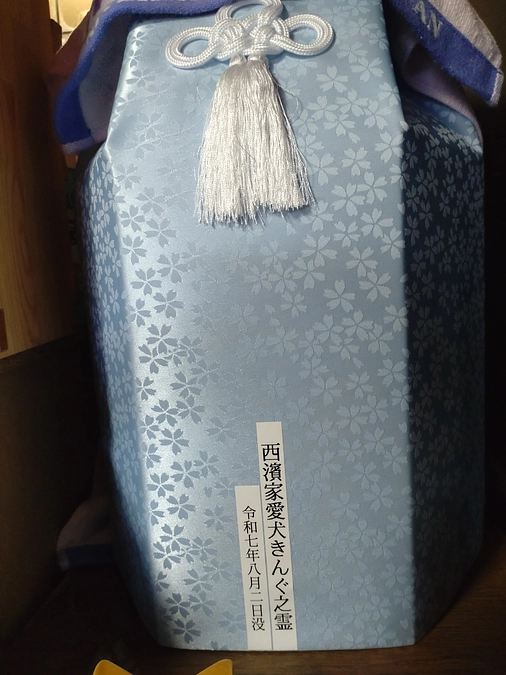 悲しいお知らせ😞