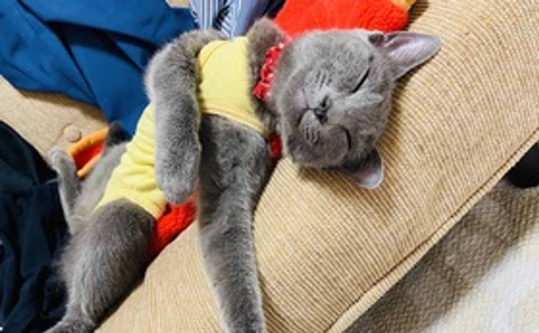 【マナちゃんを応援したい！】-1000