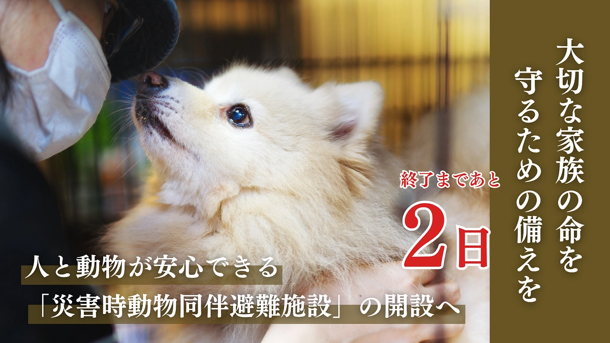 【ハッシュタグ拡散企画！｜残り2日】皆さまのご協力が力になります！