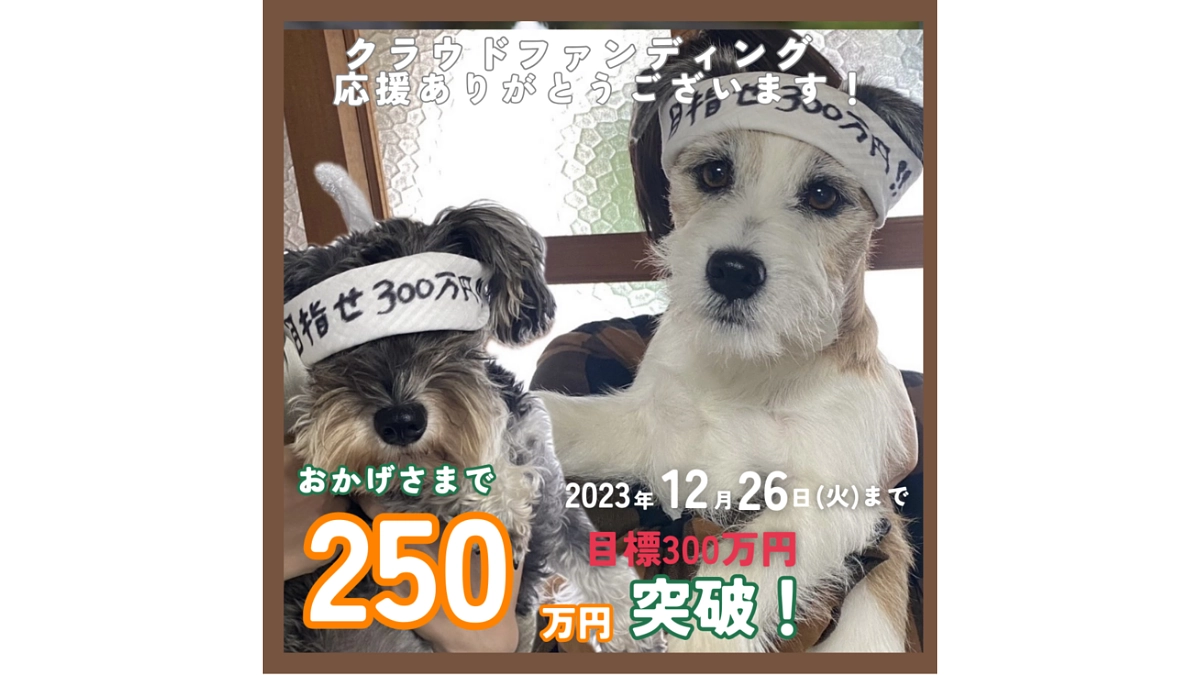 【250万円を超えました！】