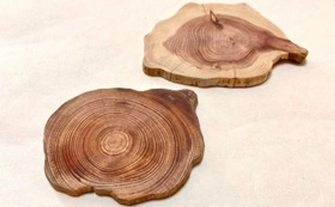 木のコースター