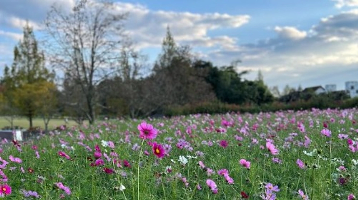 「おかやまフォレストパーク　ドイツの森」飼育担当様より応援メッセージをいただきました！