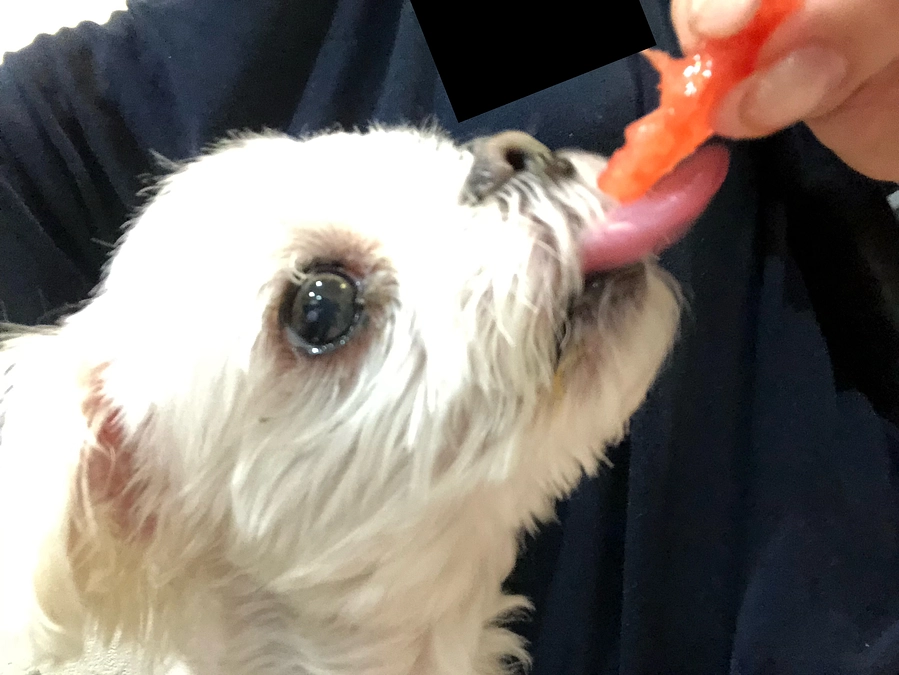 8/8のパフ太(*^_^*)