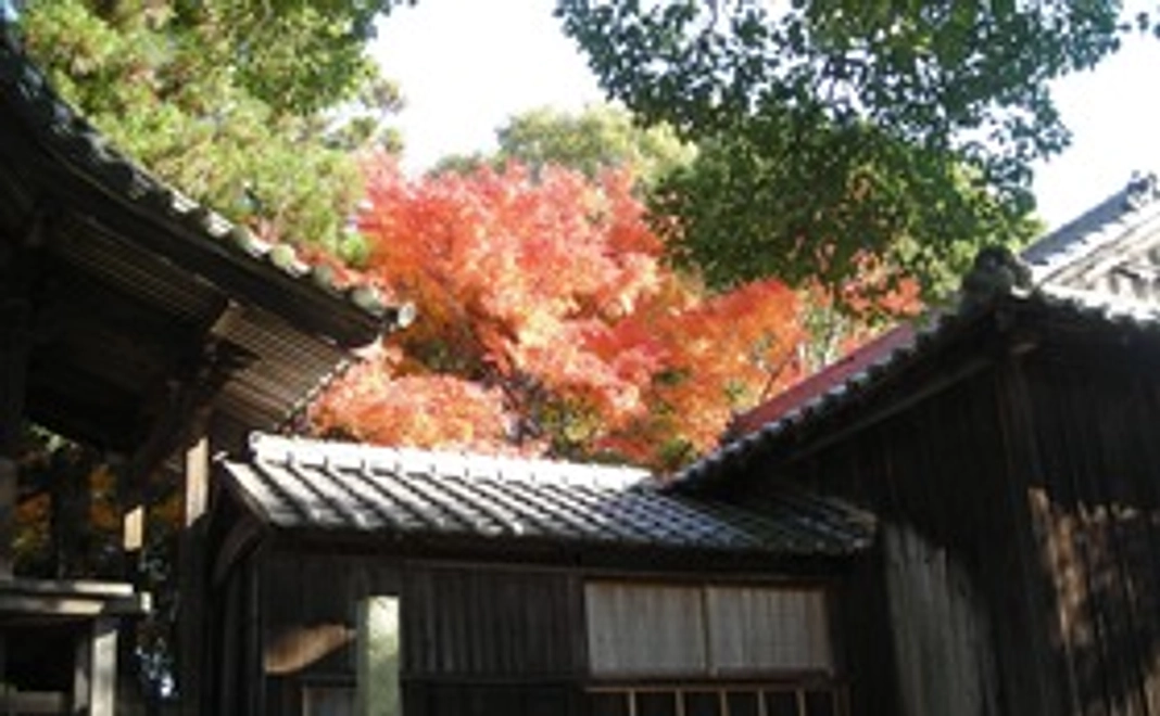 ■HPにお名前掲載とお礼（10,000円）