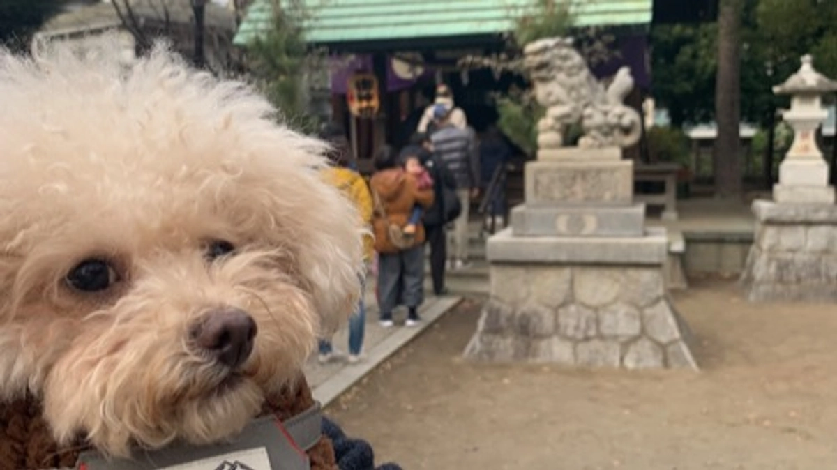 初詣に行ってきました