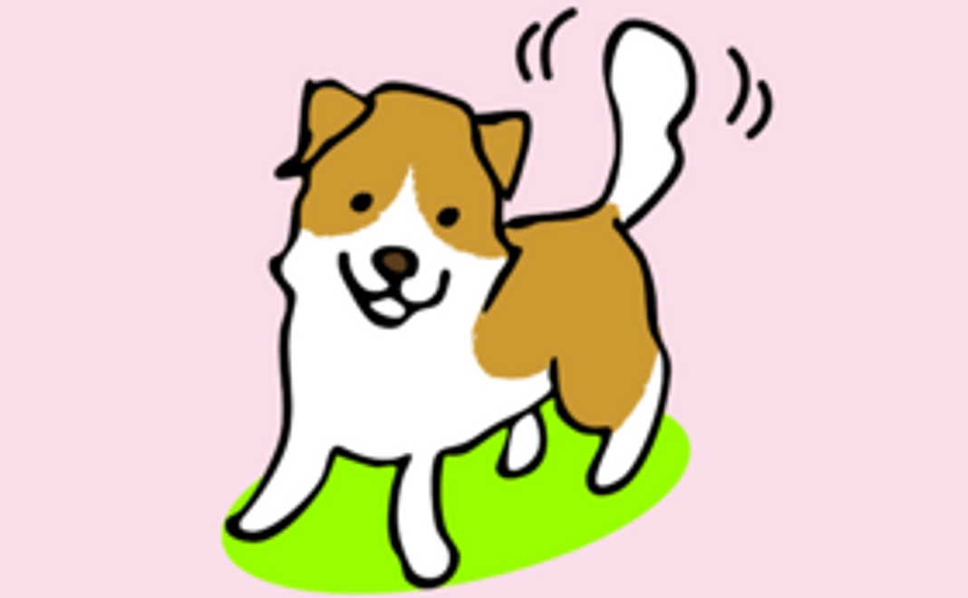 プロジェクト応援コース