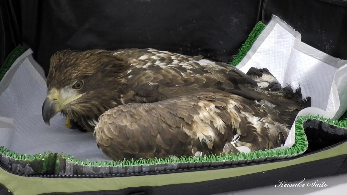 新年早々慌ただしい！